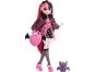 Mattel Monster High panenka Monsterka Draculaura™ 2