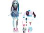 Mattel Monster High panenka Monsterka Frankie Stein™ 3