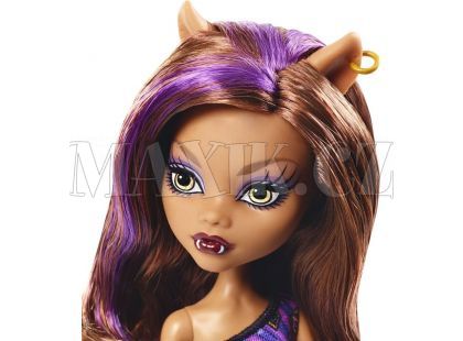 Mattel Monster High Příšerka DKY17 - Clawdeen Wolf