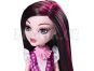 Mattel Monster High Příšerka DKY17 - Draculaura 3