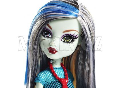 Mattel Monster High Příšerka DKY17 - Frankie Stein