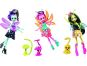 Mattel Monster High straškouzelná víla FCV48 Wingrid 6