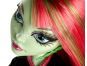 Mattel Monster High Třídní příšerka - Venus McFlytrap 5
