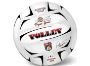 Míč volejbalový Champions 21 cm
