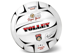 Míč volejbalový Champions 21 cm