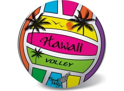 Míč volejbalový Hawai 21cm