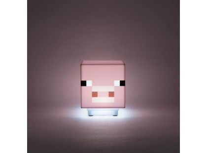 Minecraft světlo prasátko