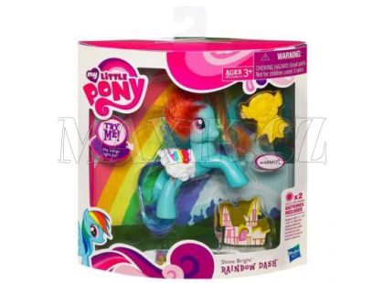 MLP Samostatní ponící s doplňkem Hasbro 21459