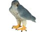 Mojo Sokol stěhovavý figurka 4