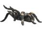 Mojo Tarantule rudokrká figurka 3