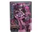 Monster High panenka děsivě sladká oslava Draculaura 5