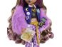 Monster High příšerka monsterka - Clawdeen 5