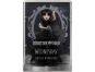 Monster High X Wednesday Raven šaty 6