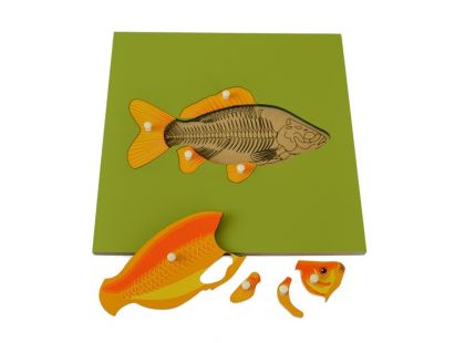 Montessori Puzzle vkládací S kostrou ryby 8 dílků