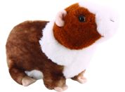 Morče 22 cm
