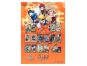 EPEE Naruto Smriti Collectible Sběratelské karty Earth Scroll 2