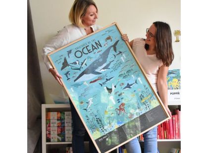 Oceány vzdělávací samolepkový plakát