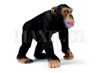 Opice Šimpanz Schleich 14189