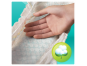 Pampers Active Baby Monthly Box S2 228 ks 7