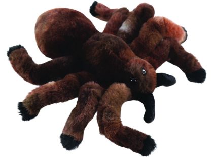 Pavouk sklípkan 19 cm