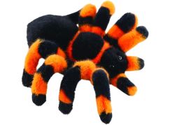 Pavouk tarantule 18 cm