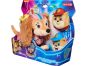 Paw Patrol (film 2) plyšák Liberty s kamarádem 7