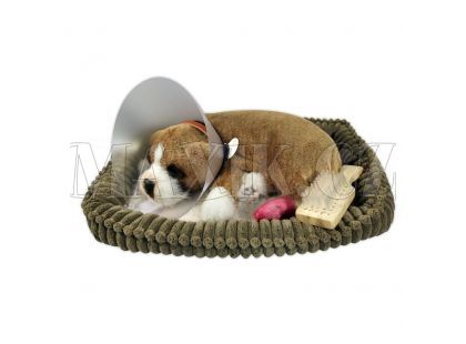 Perfect Petzzz Štěňátko Boxer