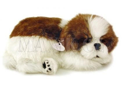 Perfect Petzzz Štěňátko Shih-tzu