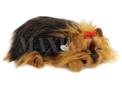 PERFECT PETZZz štěňátko Yorki