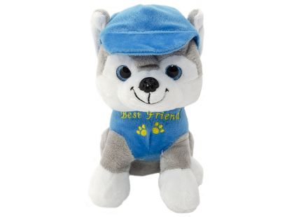 Pes v oblečku štěkací 20 cm modrý