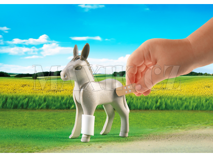 Playmobil 5529 Veterinární klinika