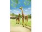 Playmobil 6640 Žirafa s mládětem 2