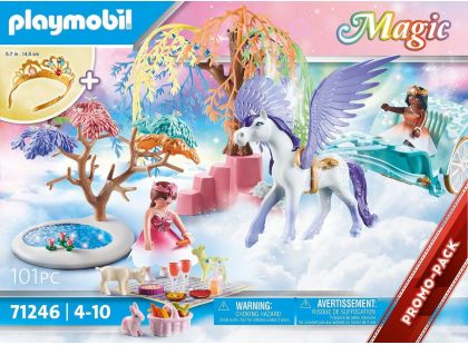 PLAYMOBIL® 71246 Piknik s Pegasovým kočárem
