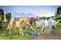 PLAYMOBIL® 71356 3 koně Morgan, Quarter Horse a Shagya Arabian 3