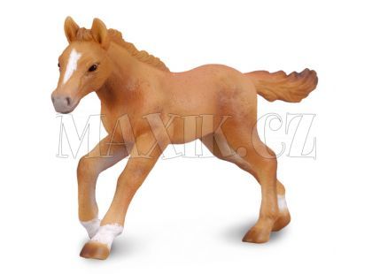 Plnokrevník hříbě v pohybu - Figurky Collecta