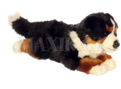 Plyšový pes Bernský Salašnický 35cm