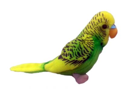 Plyšový papoušek Andulka 11cm