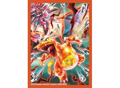 Pokémon TCG: Charizard ex Premium Collection