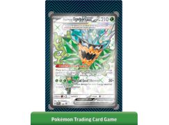 Pokémon TCG: Ogerpon ex Premium Collection