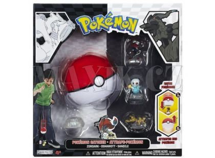 Pokémon B&W CATCHER