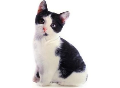 Polštářek černobílé kotě 36 x 22 cm