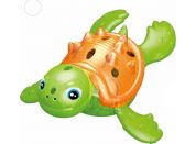 Potápěcí želva se světlem zeleno-oranžová