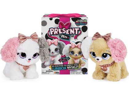 Present Pets Interaktivní štěňátka módní - Poškozený obal