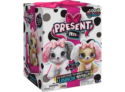 Present Pets Interaktivní štěňátka módní - Poškozený obal