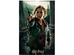 Prime 3D Puzzle Harry Potter Hermione Granger 300 dílků
