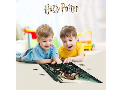 Prime 3D Puzzle Harry Potter Hermione Granger 300 dílků