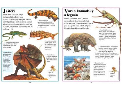 První encyklopedie Zvířata