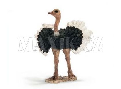 Pštros samec Schleich 14610