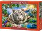 Castorland Puzzle Tygr bílý 1500 dílků 2