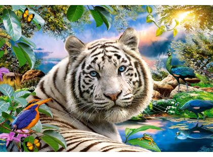 Castorland Puzzle Tygr bílý 1500 dílků